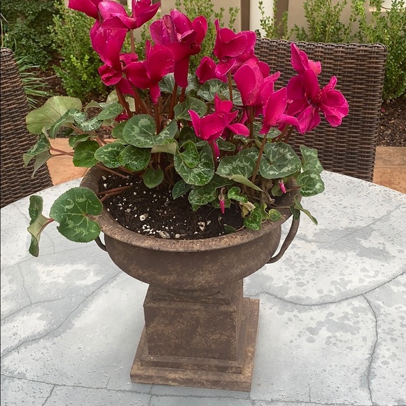 Meet your Posher, Julie - Picture 1 of 1